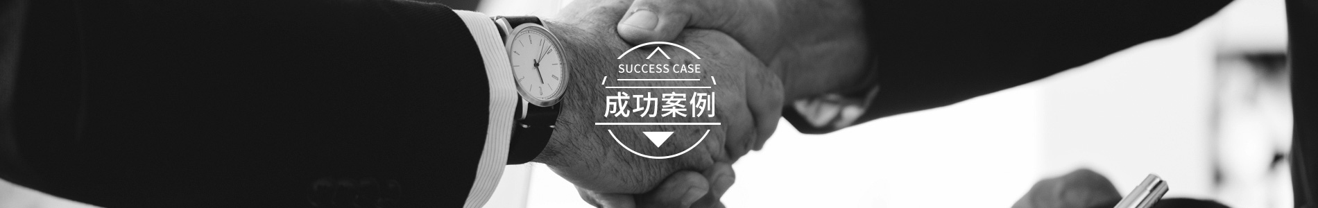 成功案例
